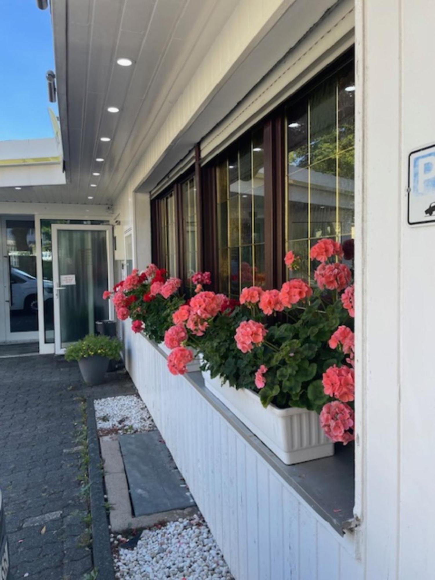 Hotel Schaefer 지겐 외부 사진